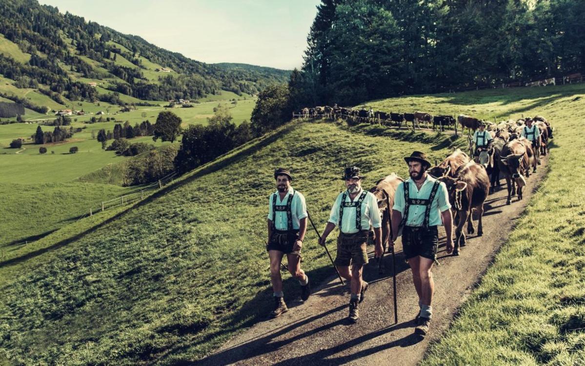 Fewo Alpenbrise, Oberstaufen Zewnętrze zdjęcie